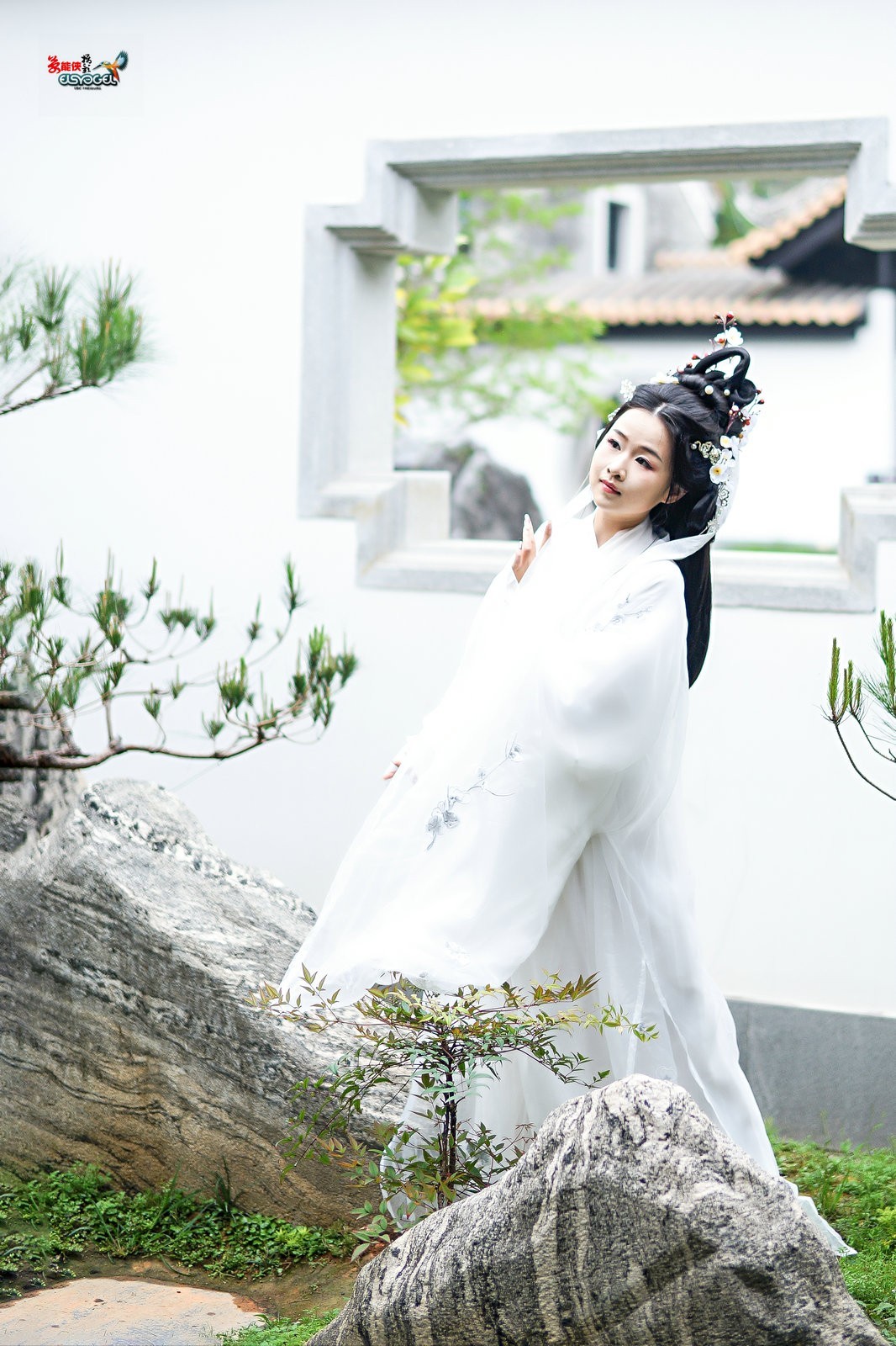 【仙女游园】---芋圆