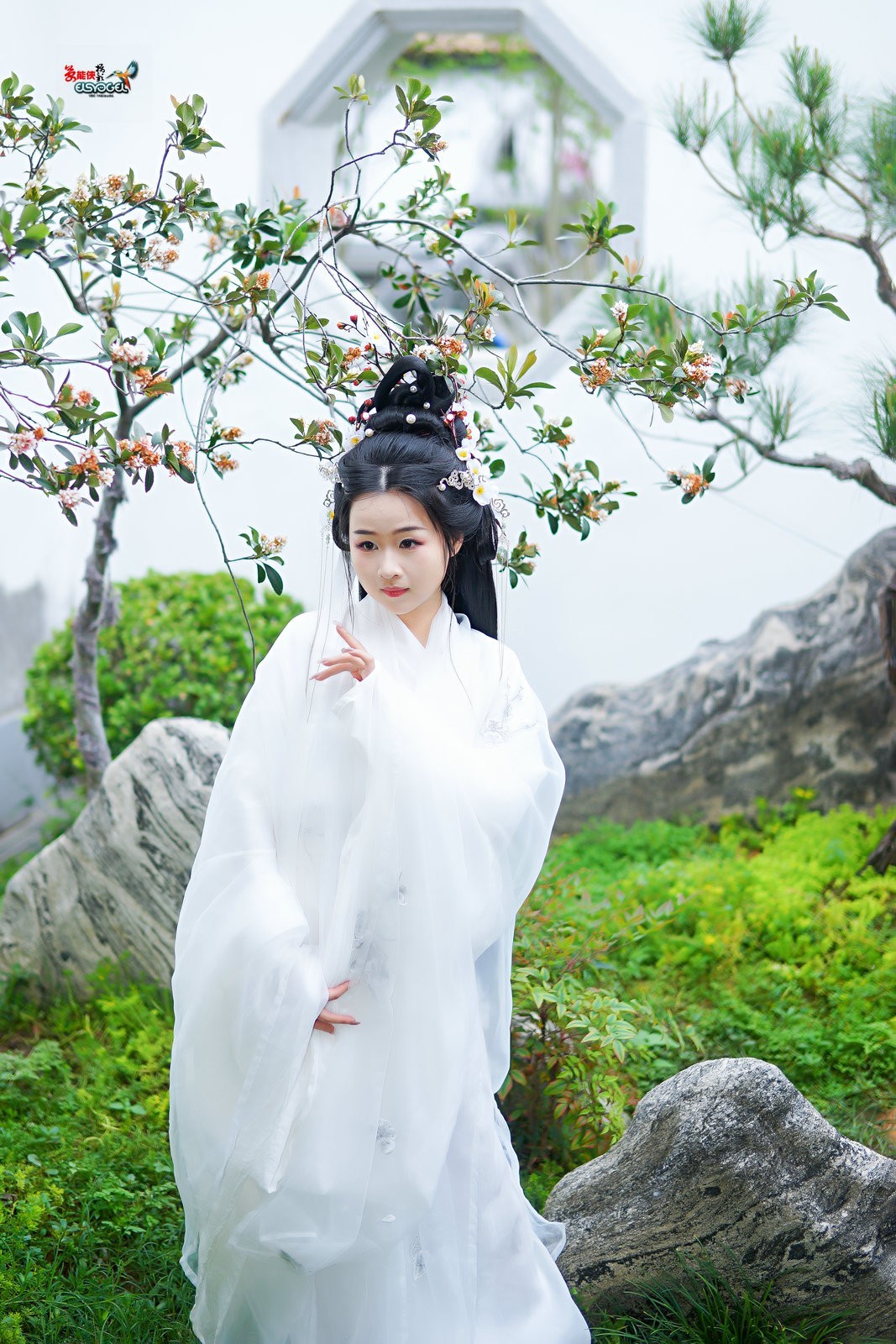 【仙女游园】---芋圆