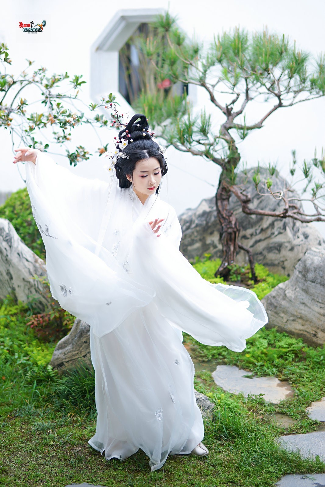 【仙女游园】---芋圆