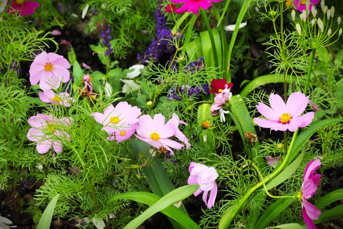 【太平湖畔】——摄于上海新天地
