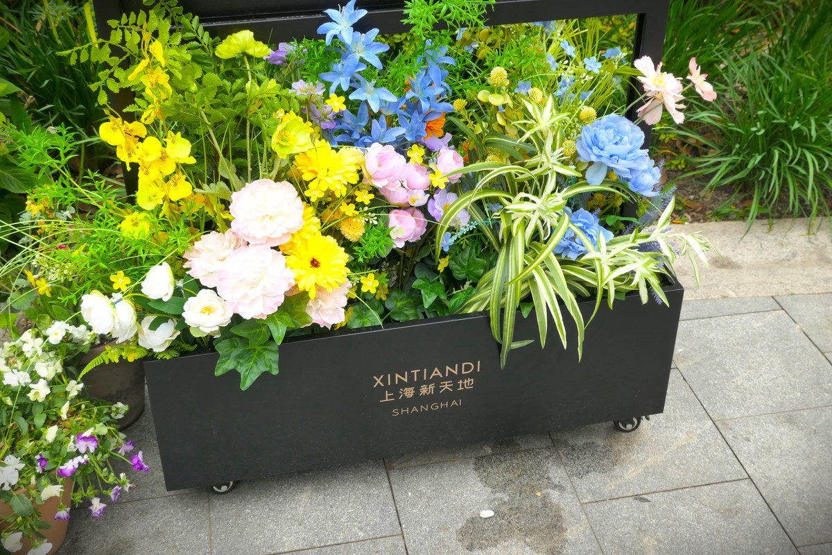 【太平湖畔】——摄于上海新天地