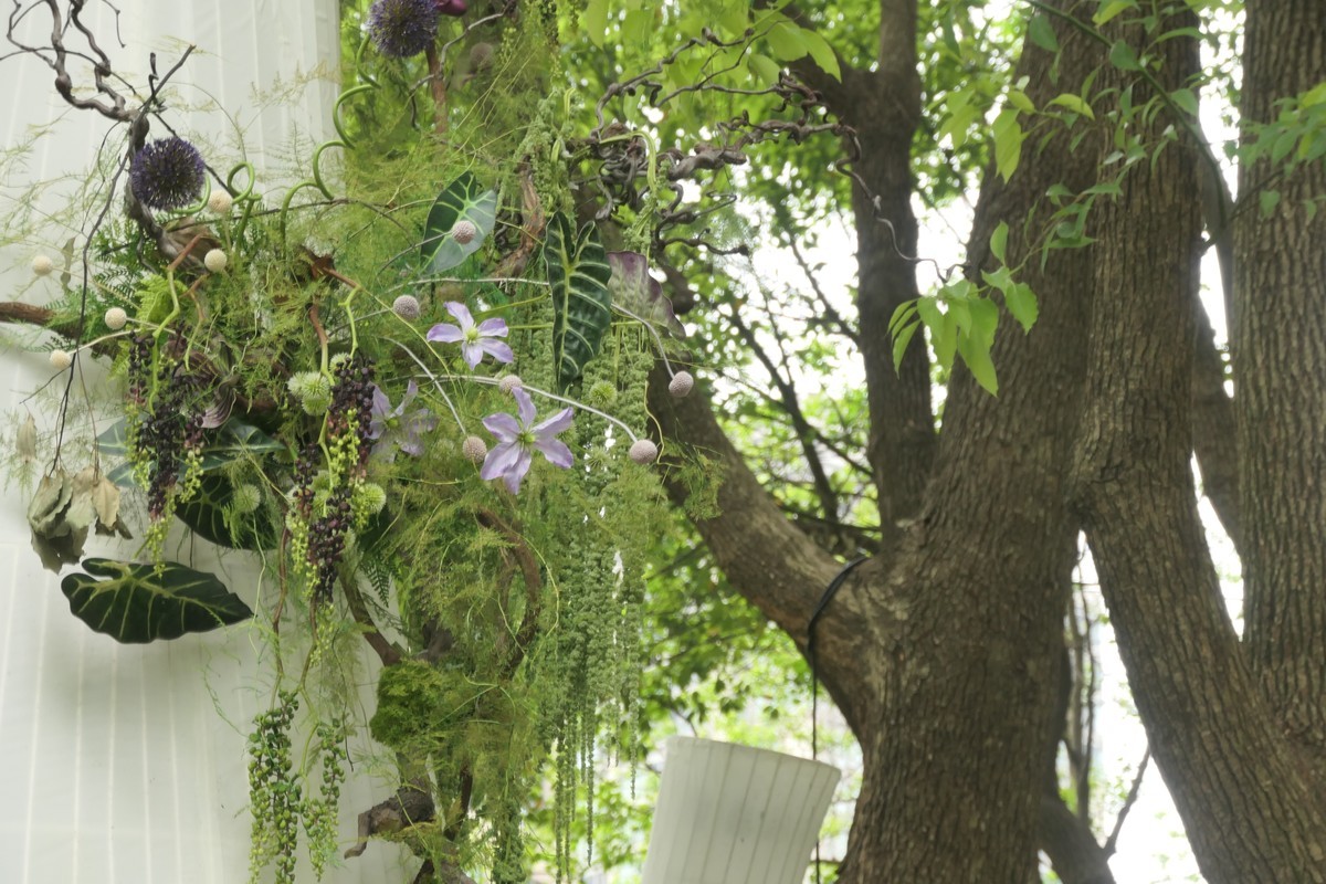 【太平湖畔】——摄于上海新天地