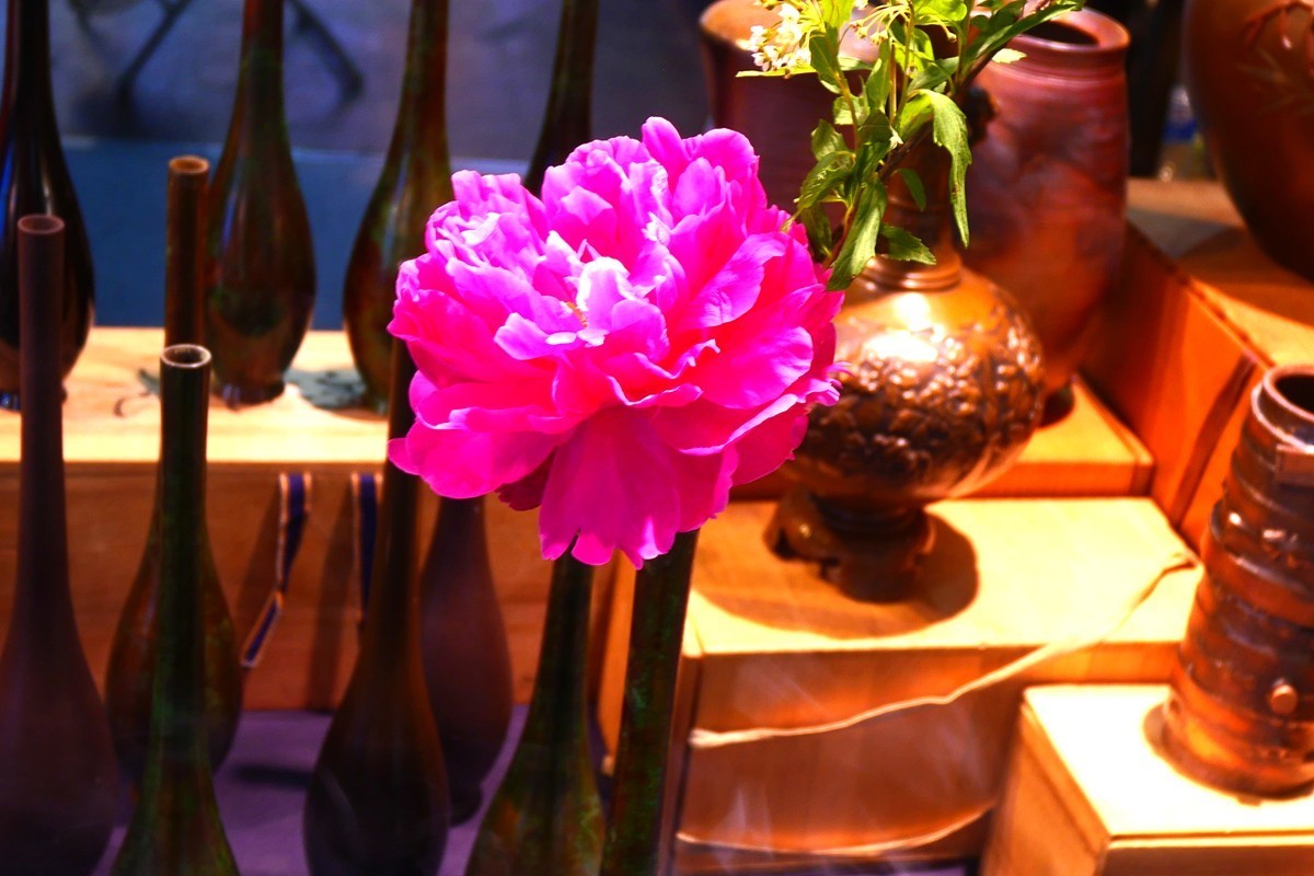 2025 茶博会 (完)