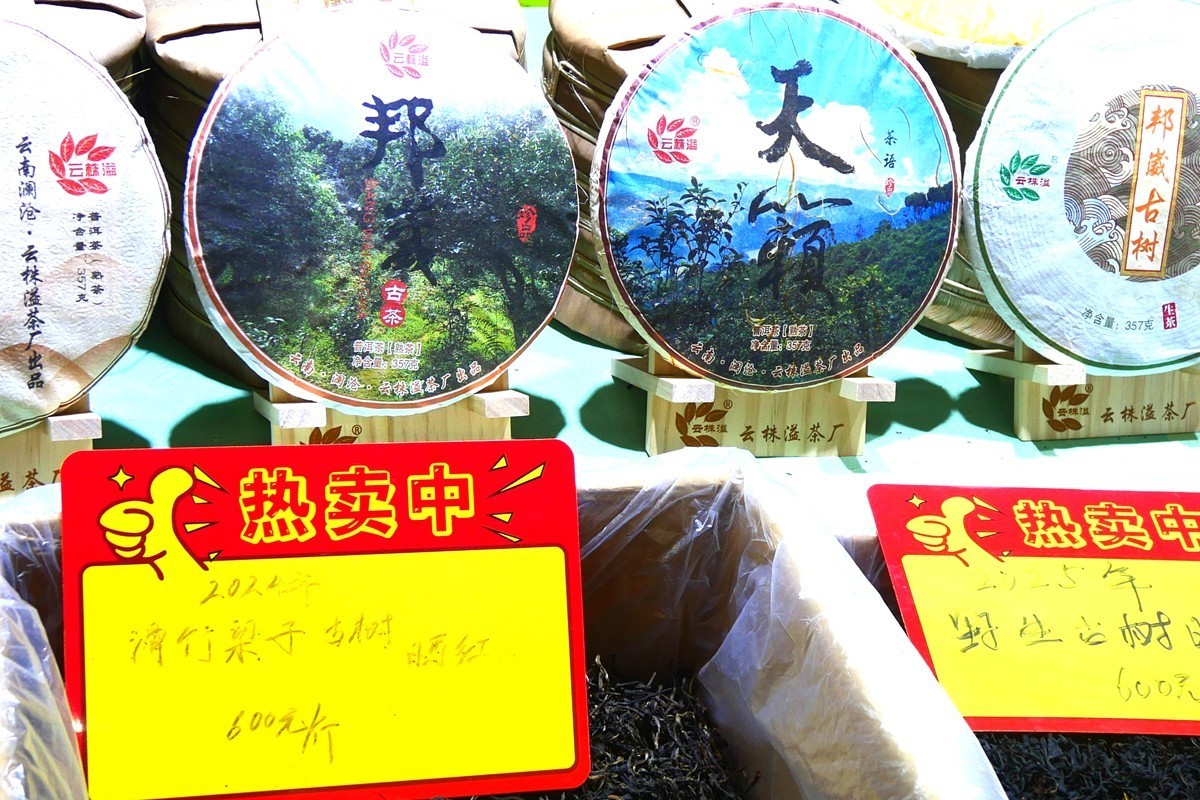 2025 茶博会 (完)