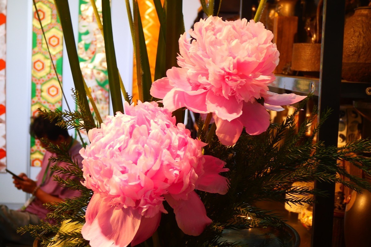 2025 茶博会 (完)