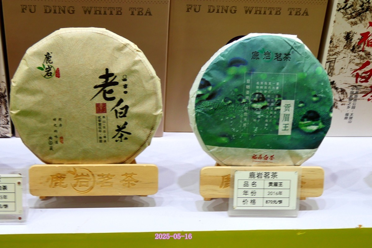 2025 茶博会 (完)