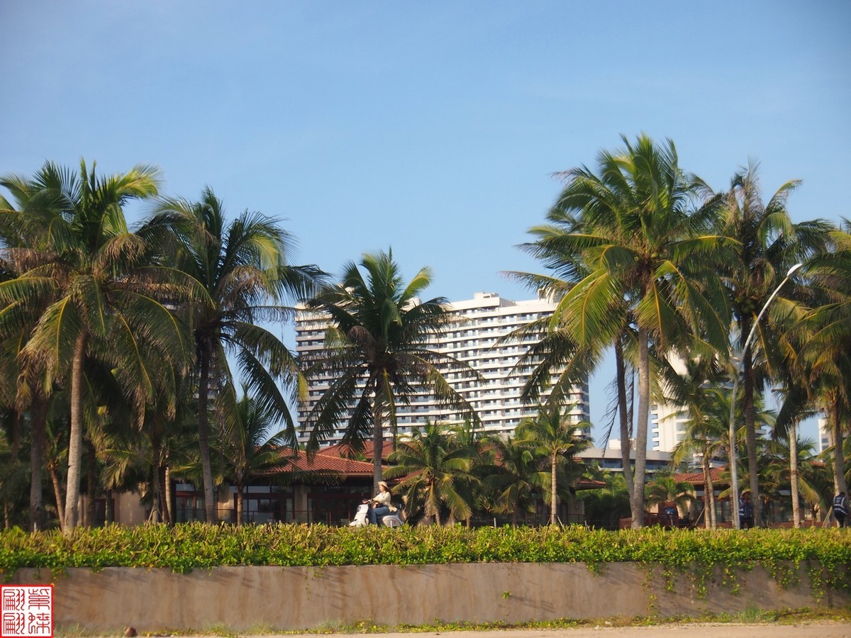 2023.11.19海南旅游随拍（9）