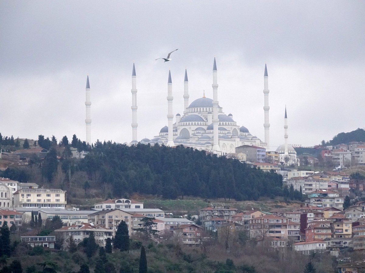 坐船欣赏博斯普鲁斯海峡两岸风光（伊斯坦布尔）