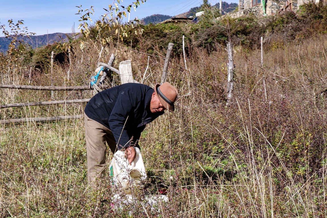 金秋川西行摄【14】云中藏寨