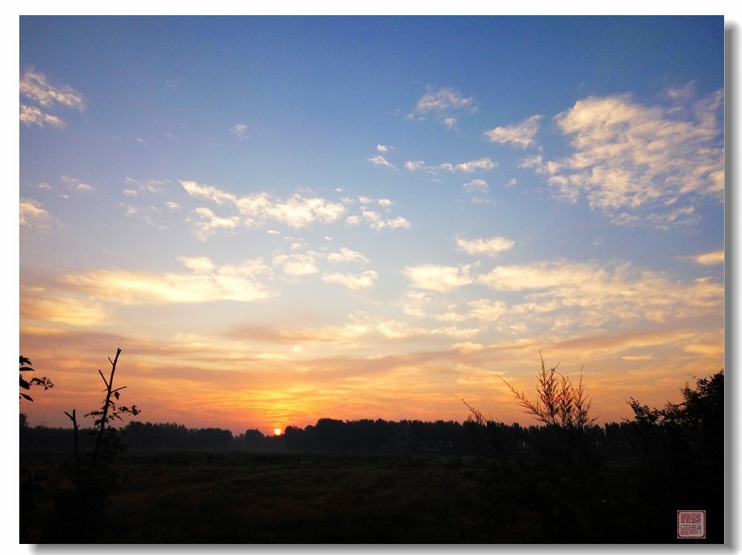 手机随手拍风光（6）