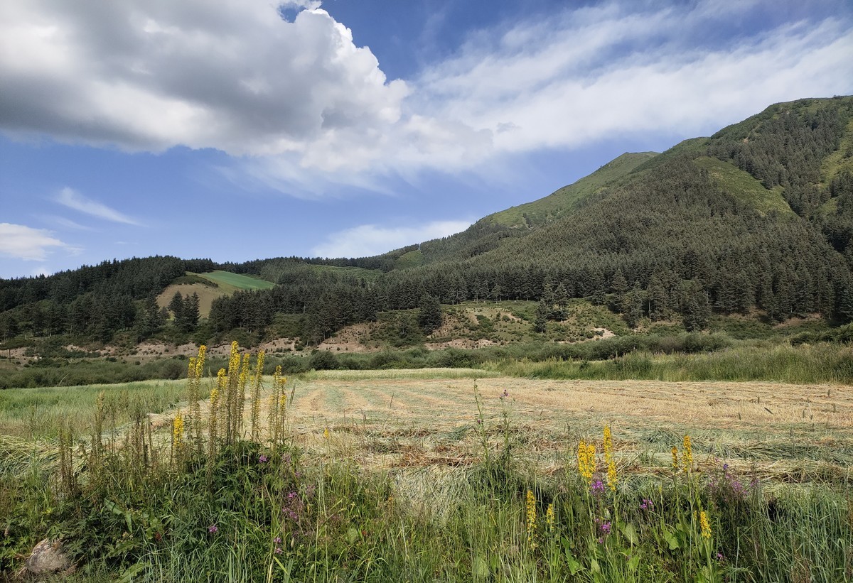 不用构图的地方，怎么拍都是美景。
