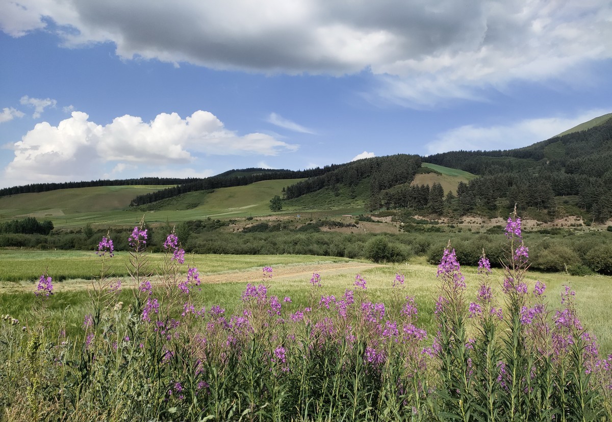 不用构图的地方，怎么拍都是美景。