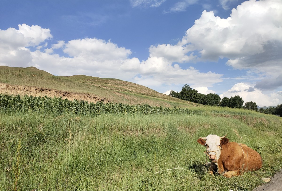 不用构图的地方，怎么拍都是美景。