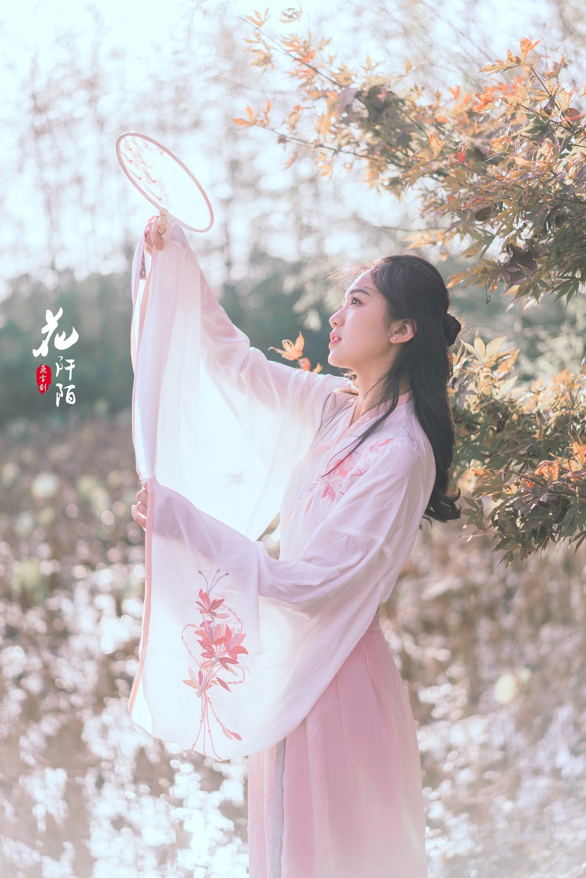 【飞雪剑摄影】花阡陌