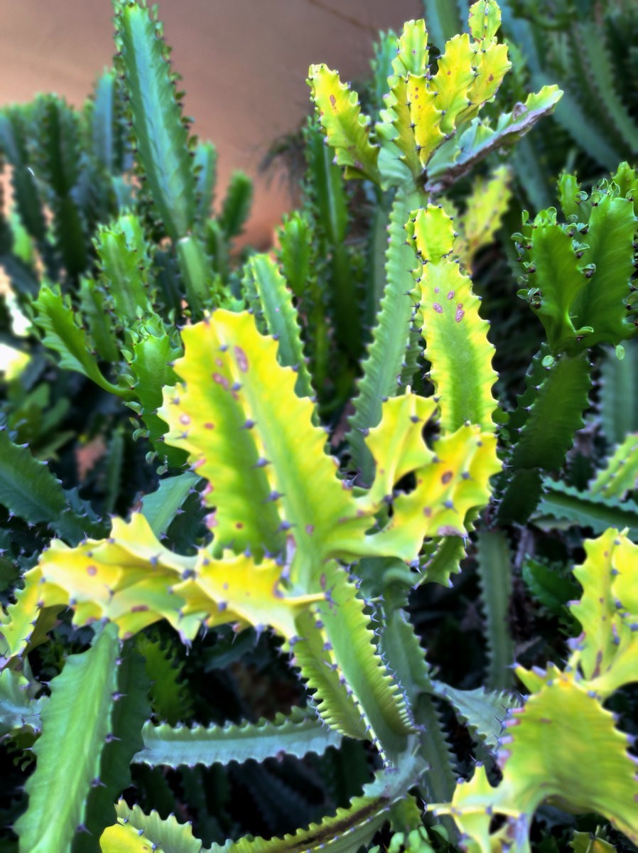 2024夏 海南环岛行（142）于双子沙滩可见