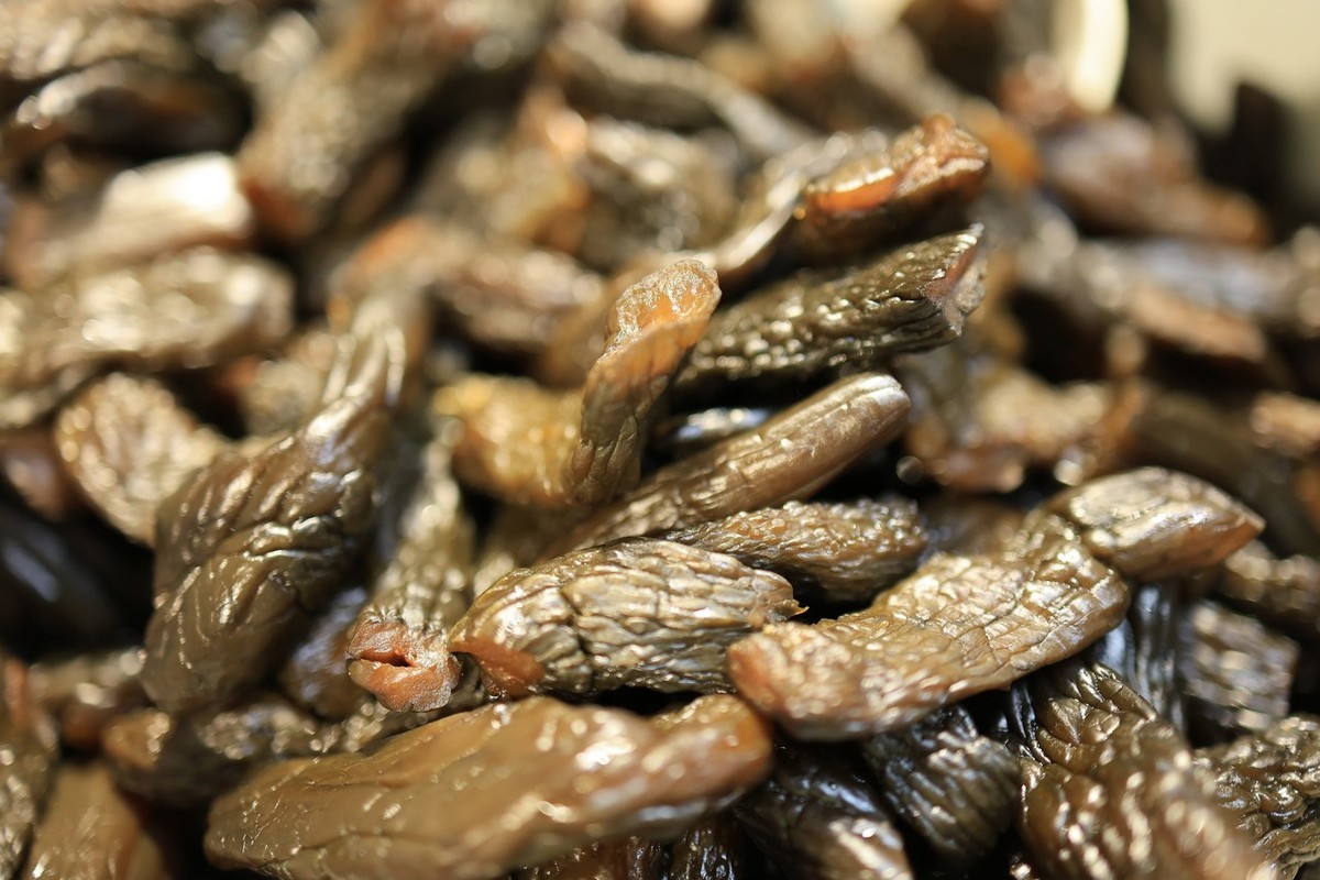 小店里的随拍 ------ 4