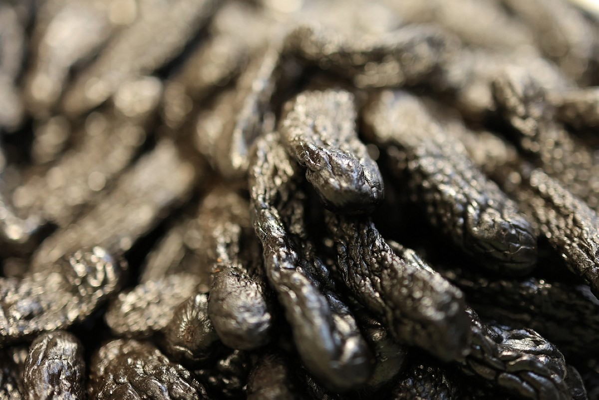 小店里的随拍 ------ 4