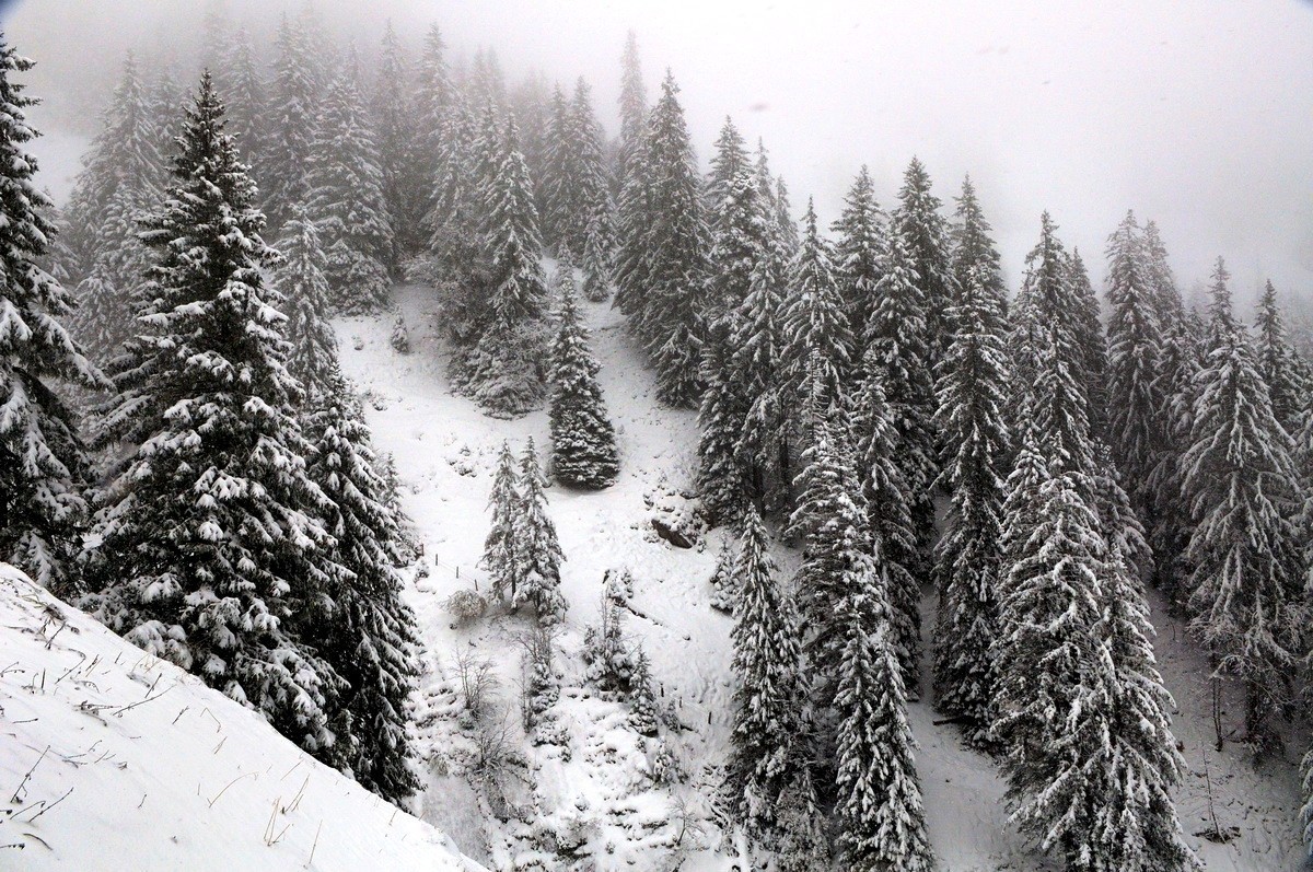 阿尔卑斯山脚下的风光