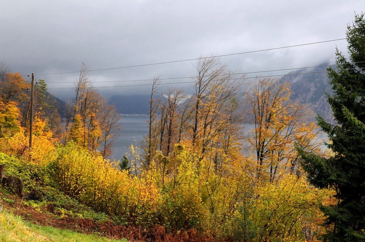 阿尔卑斯山脚下的风光