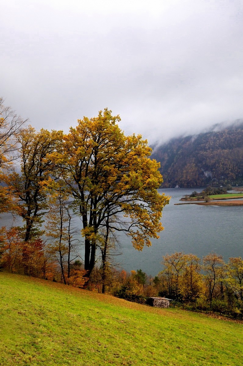 阿尔卑斯山脚下的风光