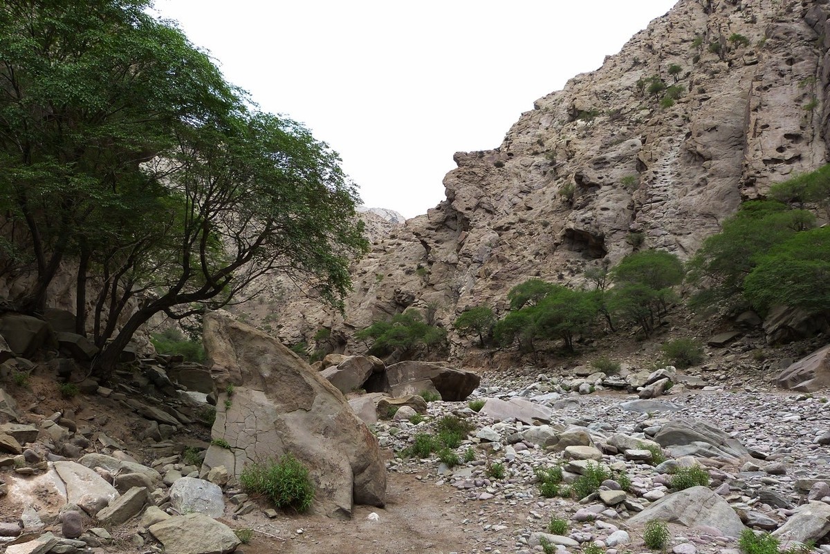 老卡片机仍然很不错的