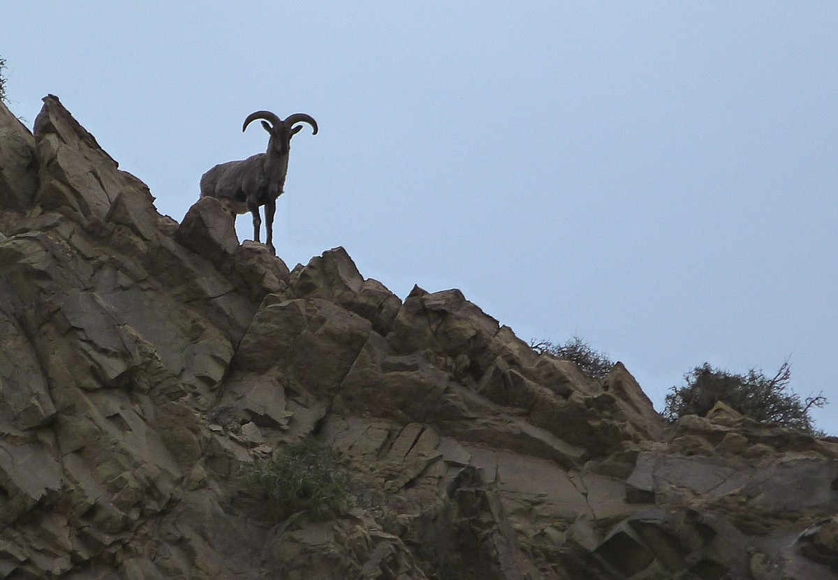 老卡片机仍然很不错的
