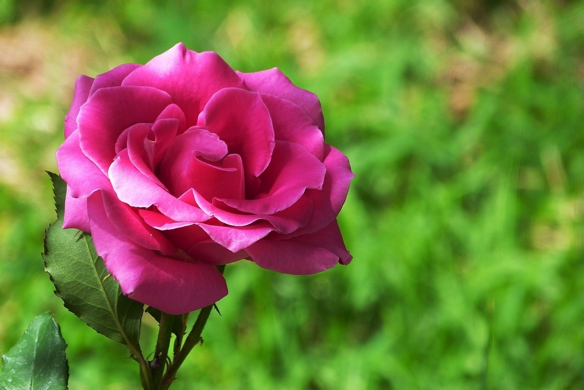 老卡片机仍然很不错的