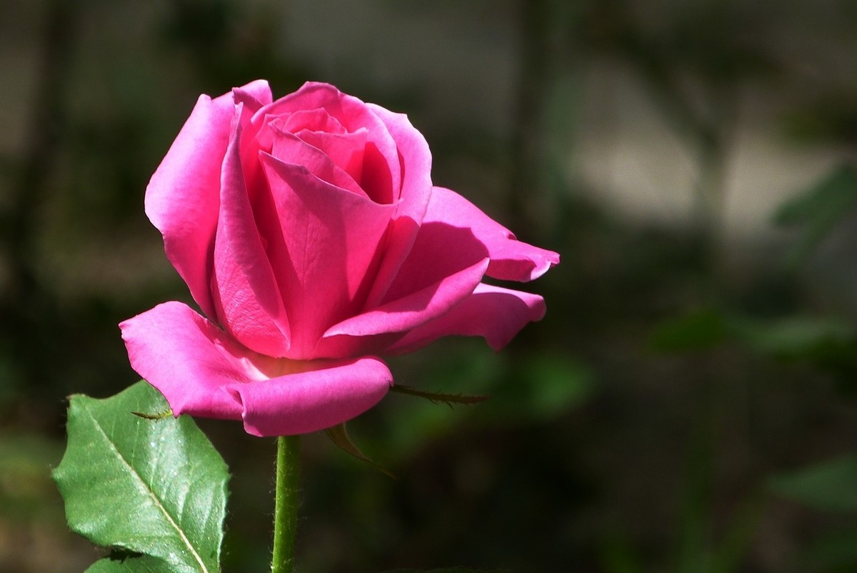 老卡片机仍然很不错的