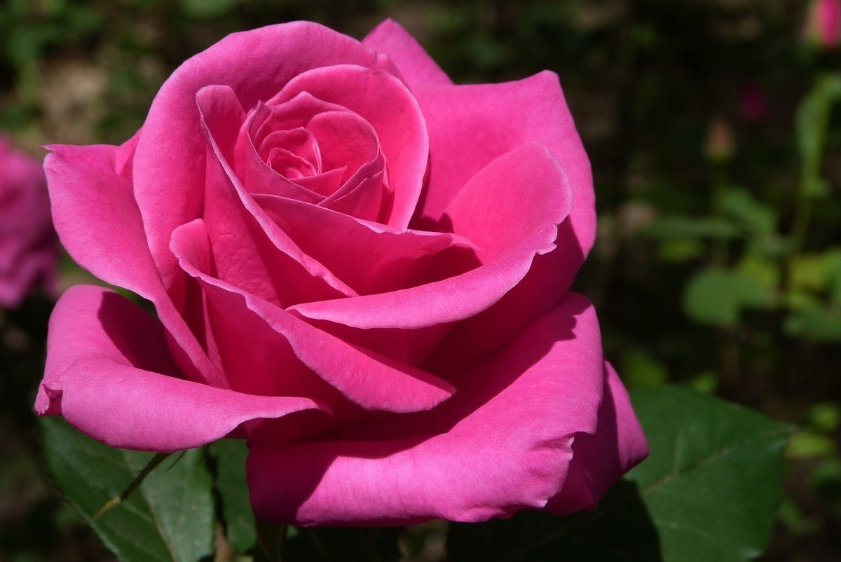 老卡片机仍然很不错的