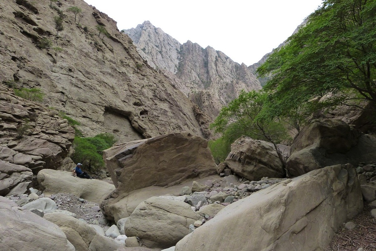 老卡片机仍然很不错的