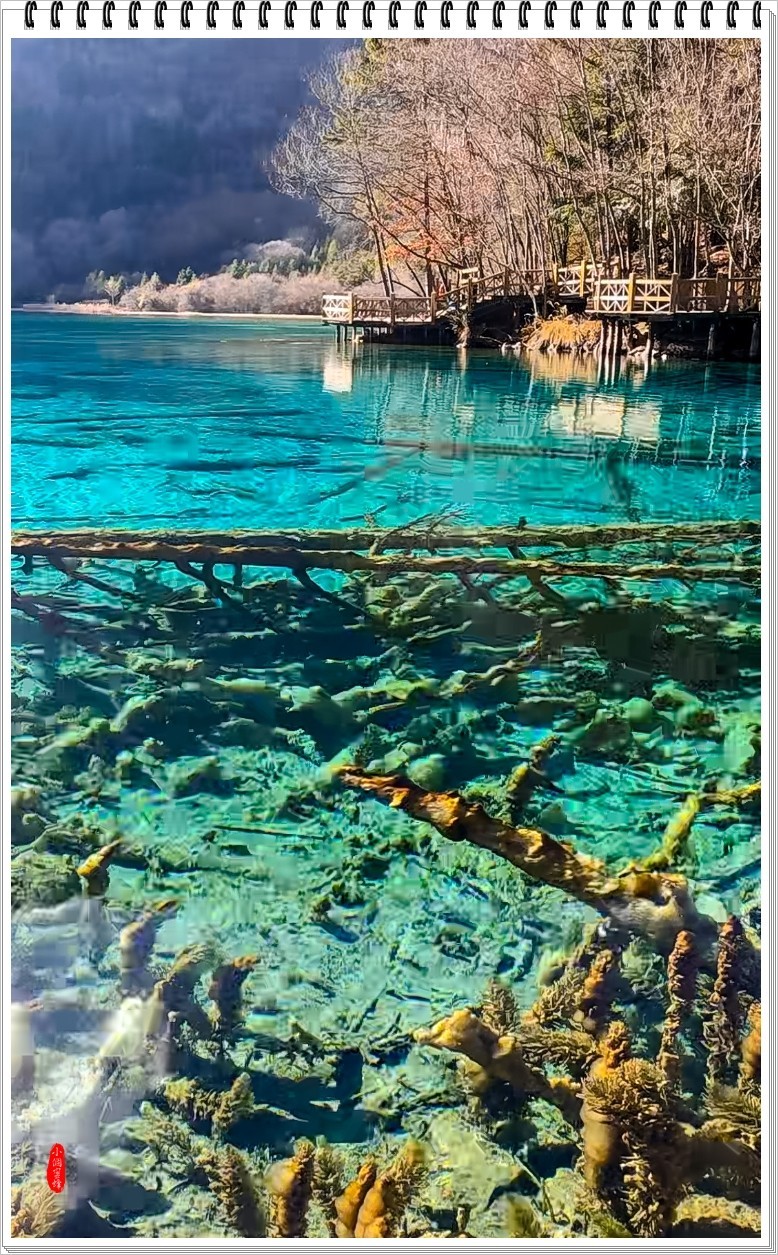 2022年九寨沟随拍-56