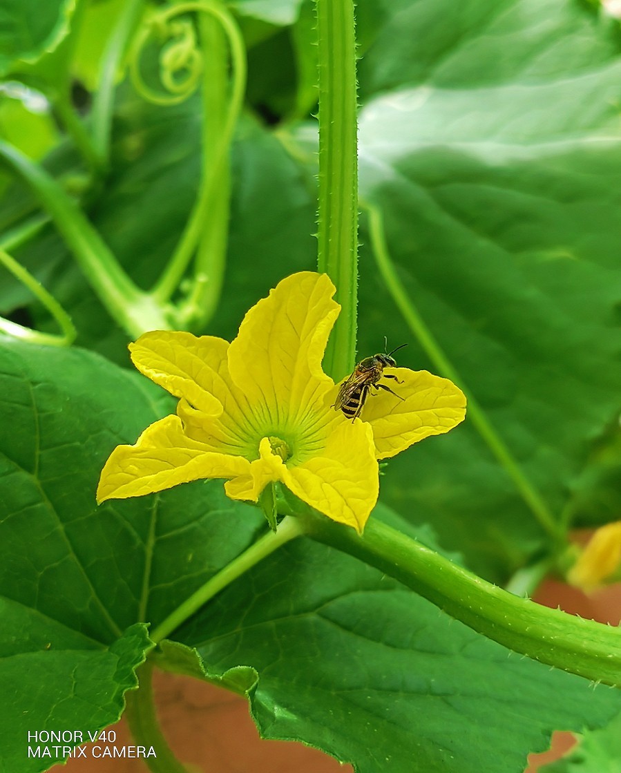 讨论贴《如何扫街抓拍美女》之一，响应夸父版主振兴活跃星空(中国)的号召活跃需要热闹！