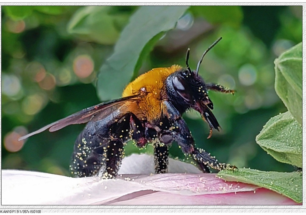讨论贴《如何扫街抓拍美女》之一，响应夸父版主振兴活跃星空(中国)的号召活跃需要热闹！