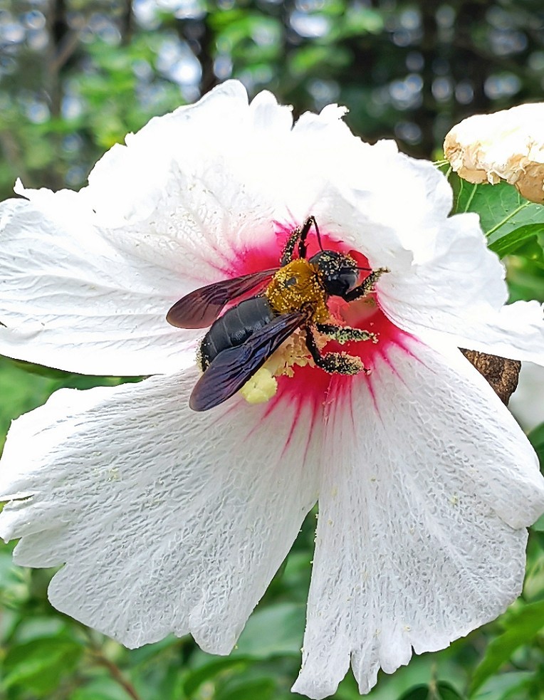 讨论贴《如何扫街抓拍美女》之一，响应夸父版主振兴活跃星空(中国)的号召活跃需要热闹！