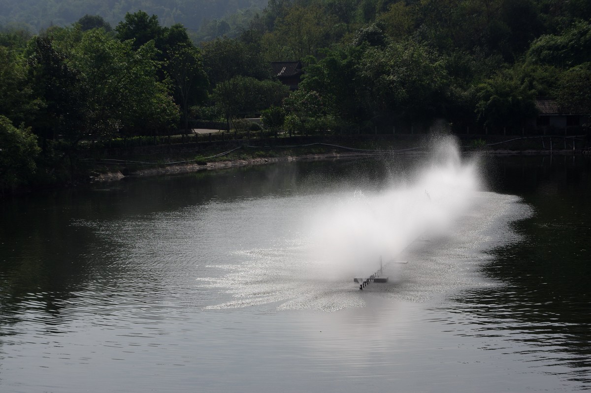 新淘的廉价标头，梅耶50，1.8试镜