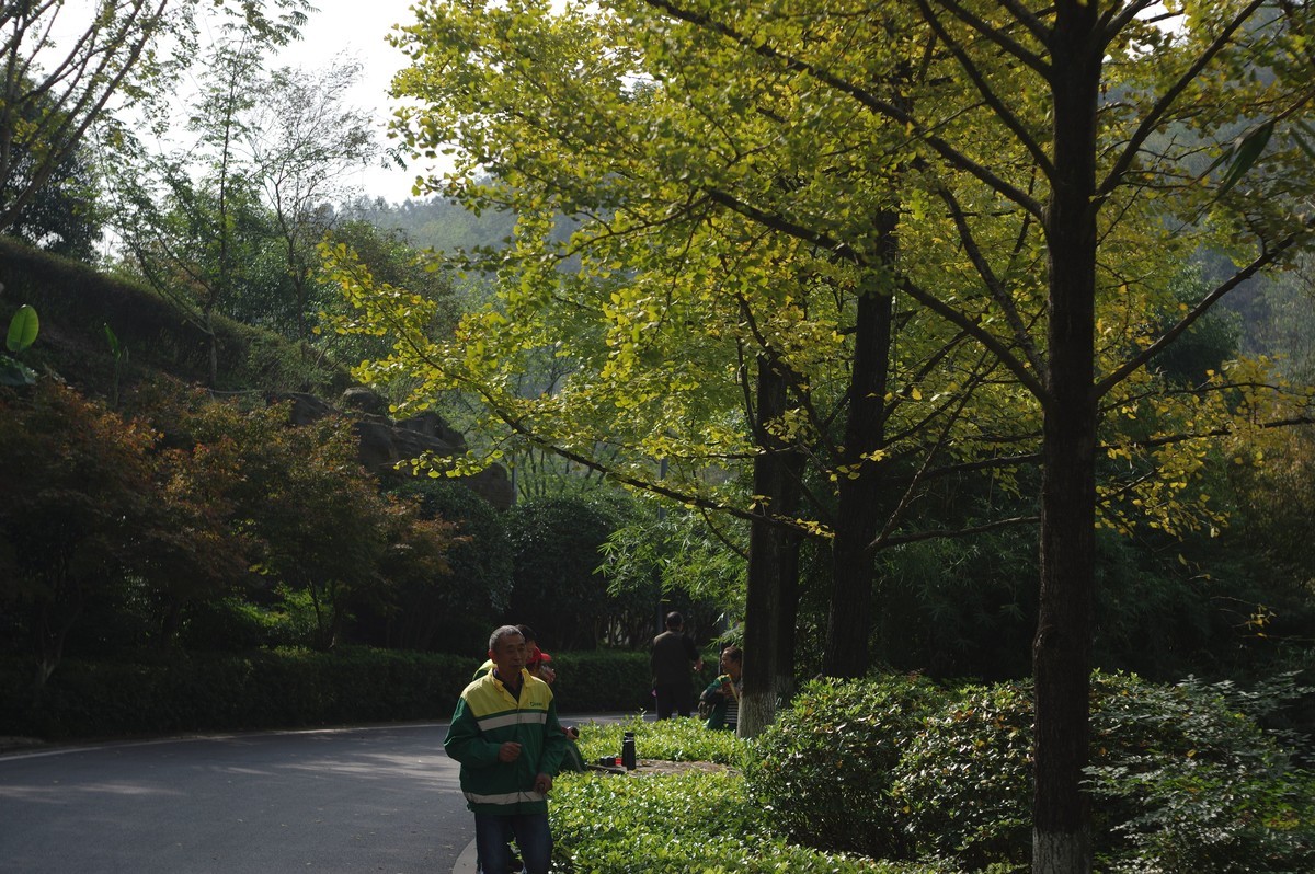 新淘的廉价标头，梅耶50，1.8试镜