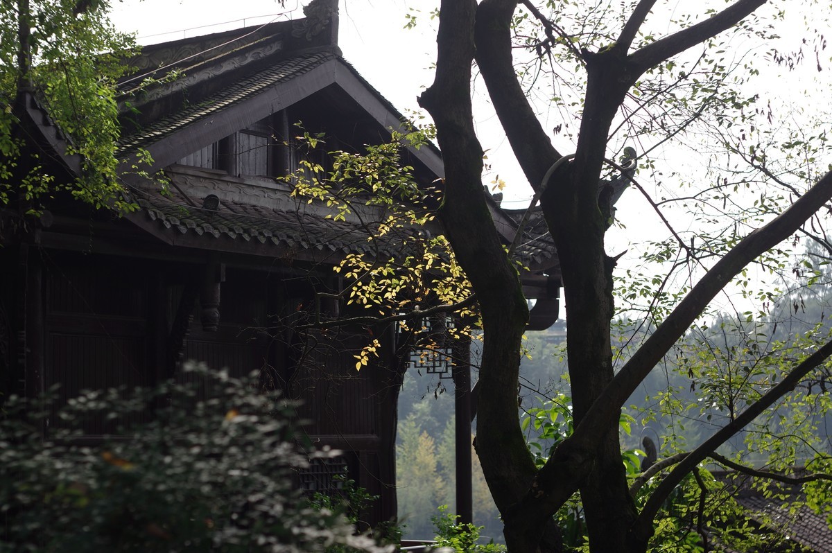 新淘的廉价标头，梅耶50，1.8试镜