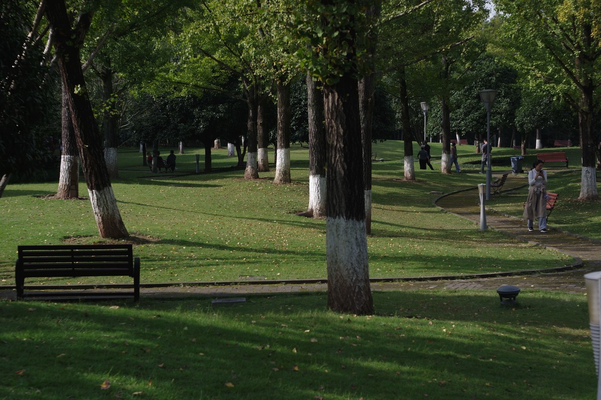 新淘的廉价标头，梅耶50，1.8试镜