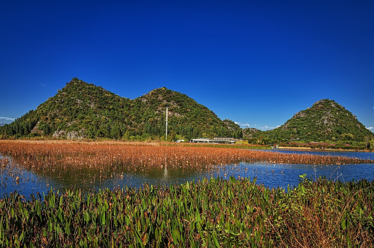普者黑 · 天鹅湖