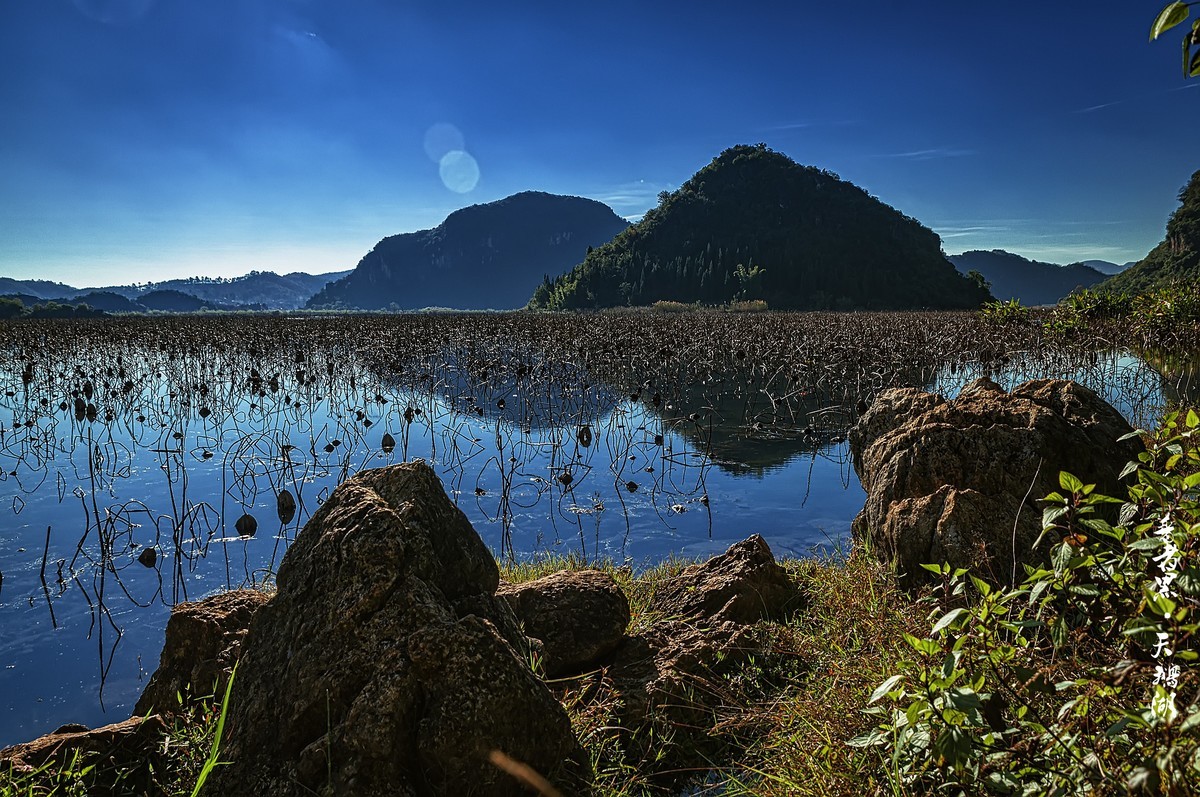 普者黑 · 天鹅湖
