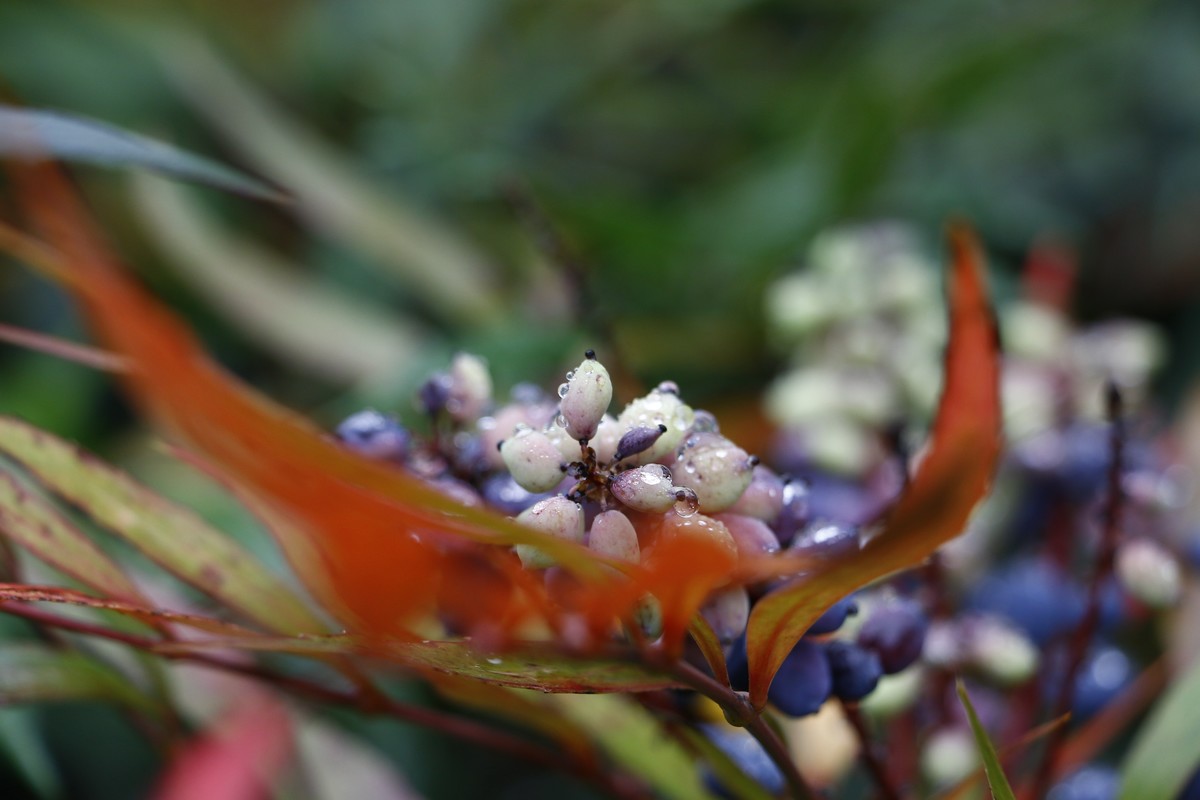 周末去矿山公园