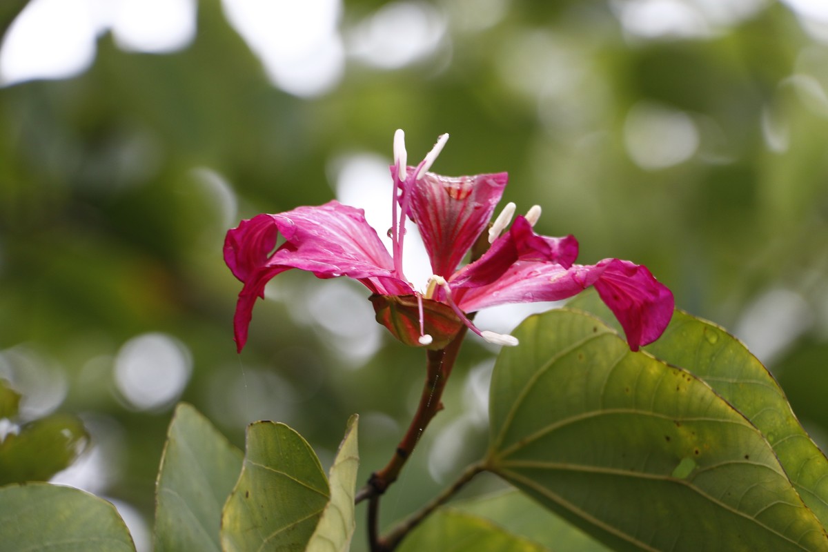 周末去矿山公园