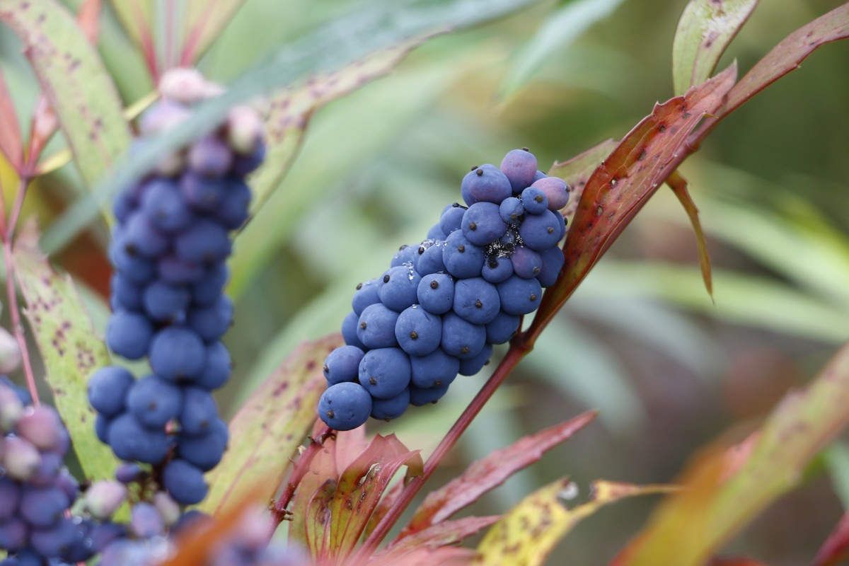 周末去矿山公园