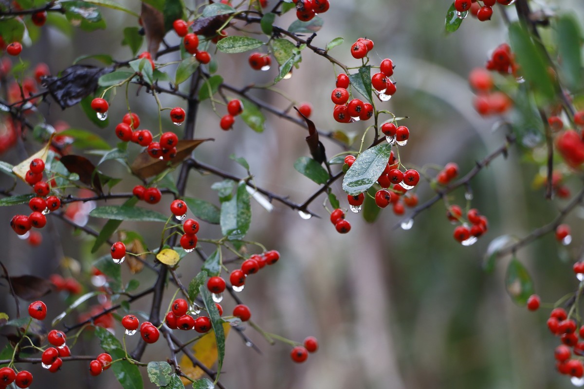 周末去矿山公园