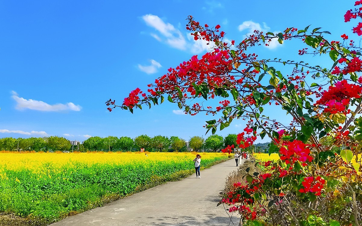 24077 ─ 乡村随拍[13]