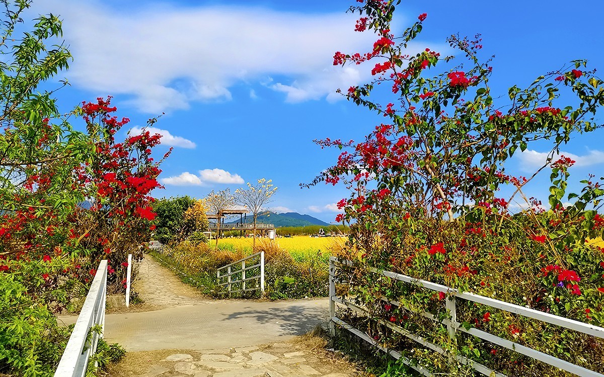 24077 ─ 乡村随拍[13]