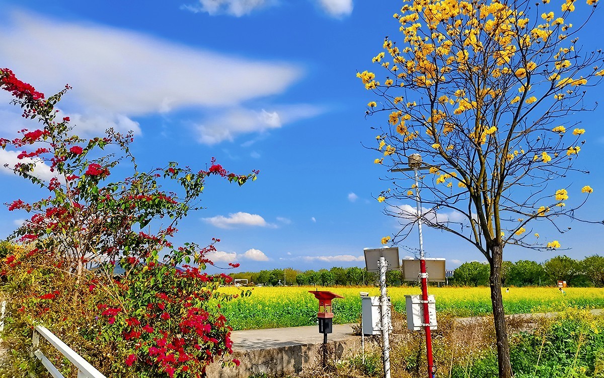 24077 ─ 乡村随拍[13]