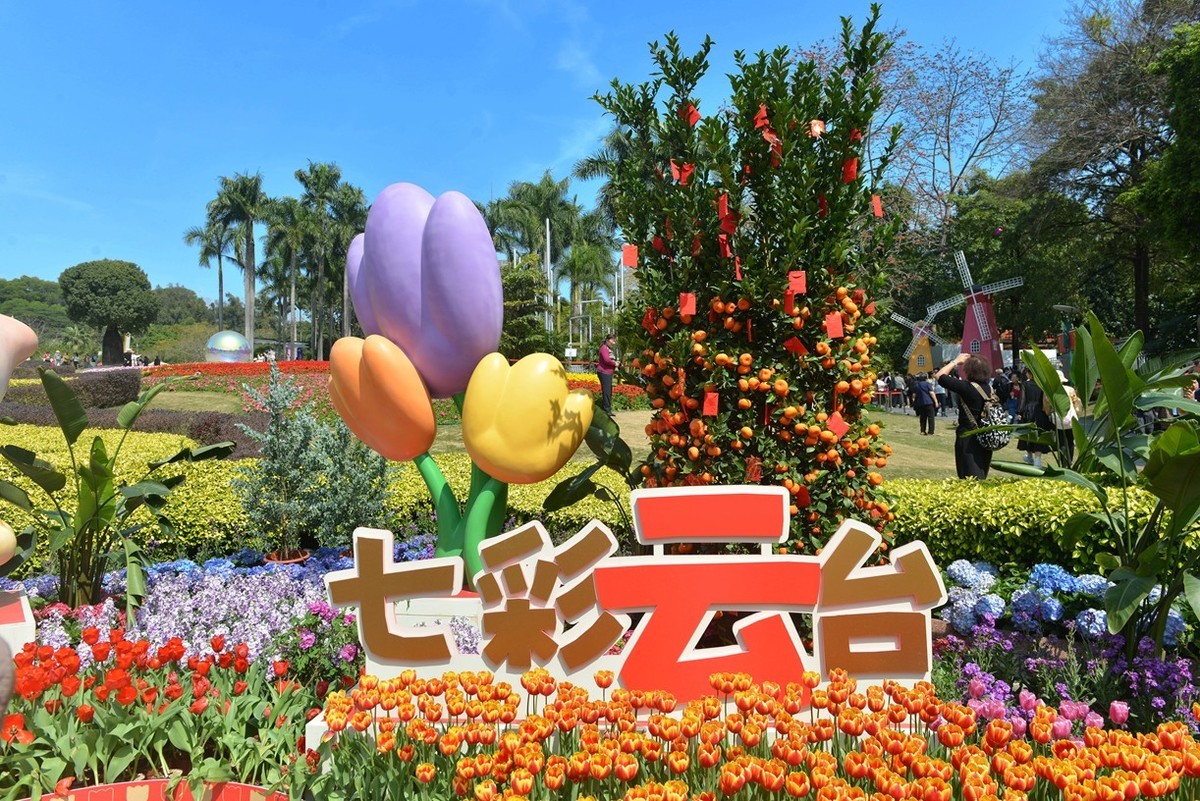 七彩云台  听见花开