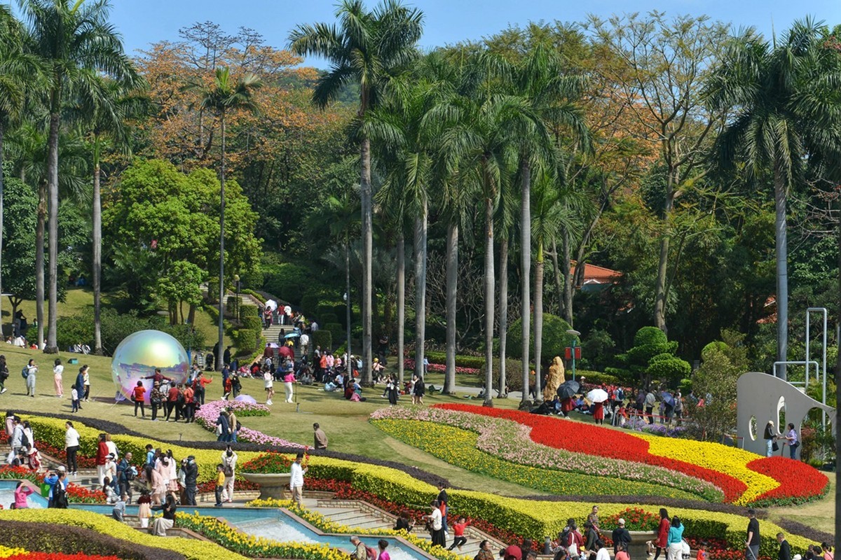 七彩云台  听见花开