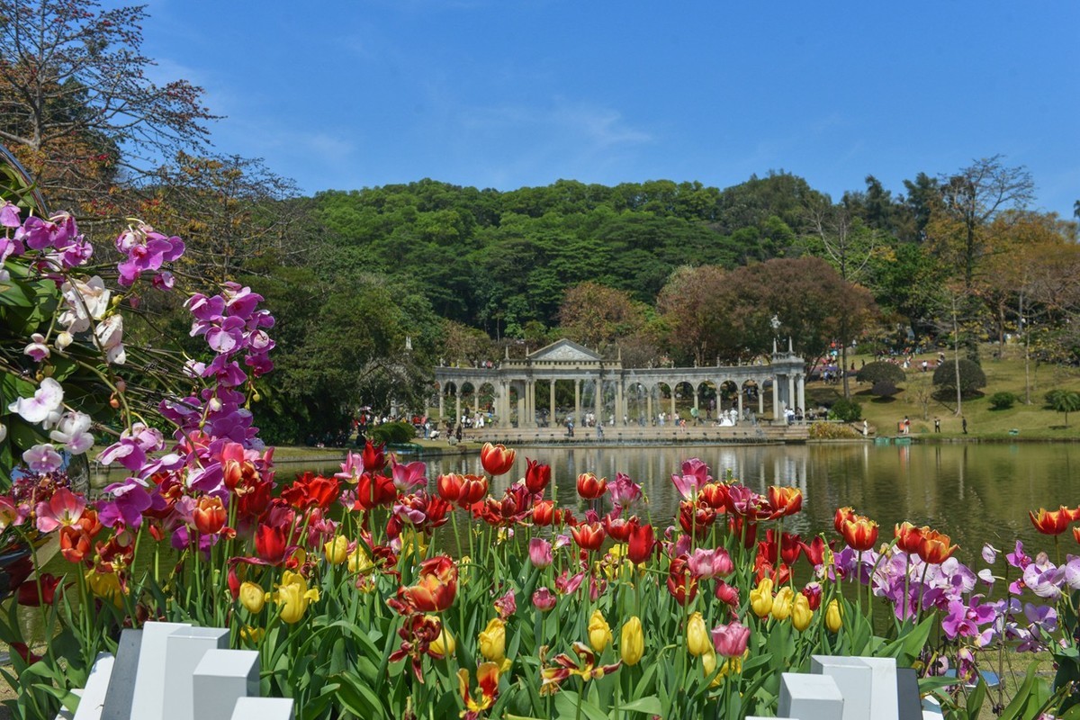七彩云台  听见花开
